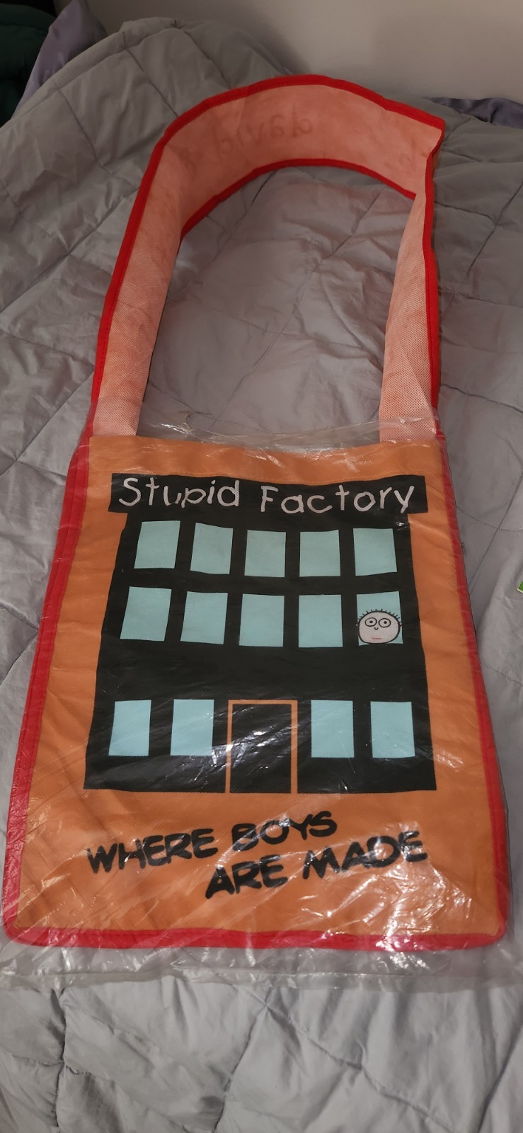 Todd Goldman Stupid Factory David and Goliath Tote Bag Unused “Boys Are Smelly”