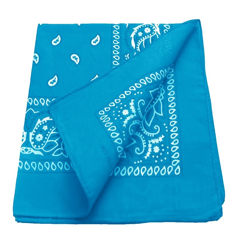 2 X Paisley Print Bandana 100% Cotton Head Warp Scarf Face Mask – USA Seller